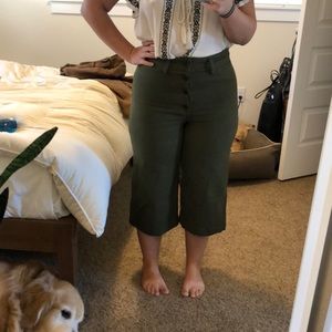 Madewell Button up Culottes
